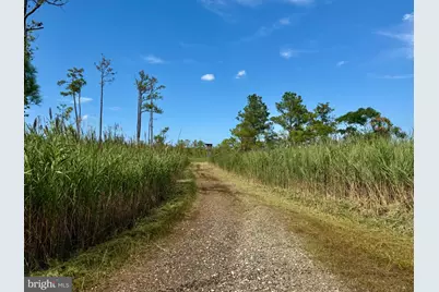 007 Griffith Neck Road, Cambridge, MD 21613 - Photo 66