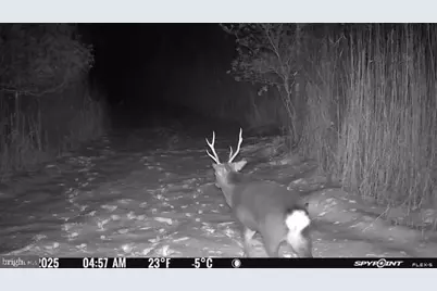 007 Griffith Neck Road, Cambridge, MD 21613 - Photo 12