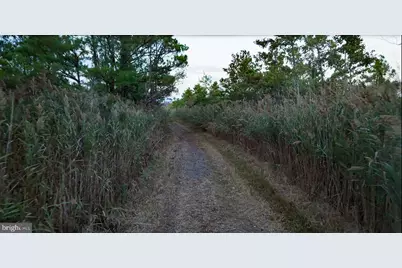 007 Griffith Neck Road, Cambridge, MD 21613 - Photo 30