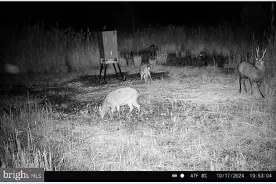 007 Griffith Neck Road, Cambridge, MD 21613 - Photo 110