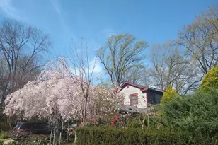 997 N Sycamore St, Falls Church, VA 22046 - Photo 62
