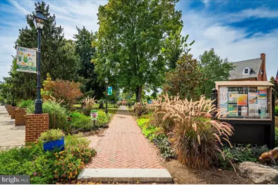 918 William Street, Fredericksburg, VA 22401 - Photo 70