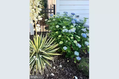 1207 Hearthstone Drive, Fredericksburg, VA 22401 - Photo 46