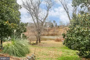 1216 Sophia St, Fredericksburg, VA 22401 - Photo 38