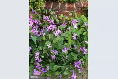 1511 Charles Street, Fredericksburg, VA 22401 - Photo 38