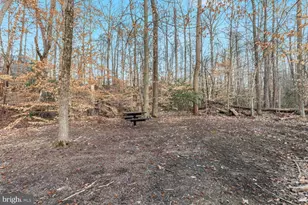 1102 Dameron Ct, Fredericksburg, VA 22401 - Photo 82