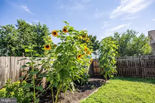 407 Hawke St, Fredericksburg, VA 22401 - Photo 24