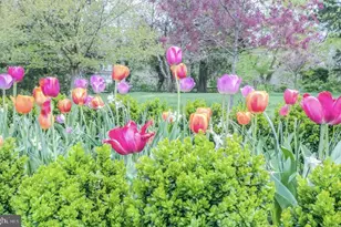 1403 Washington Ave, Fredericksburg, VA 22401 - Photo 86