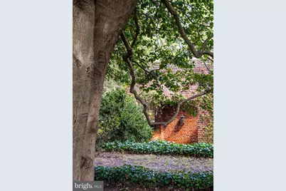 1403 Washington Avenue, Fredericksburg, VA 22401 - Photo 32