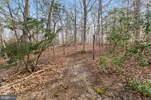 331 Braehead Dr, Fredericksburg, VA 22401 - Photo 54