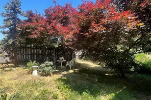 300 Prince Edward St, Fredericksburg, VA 22401 - Photo 40