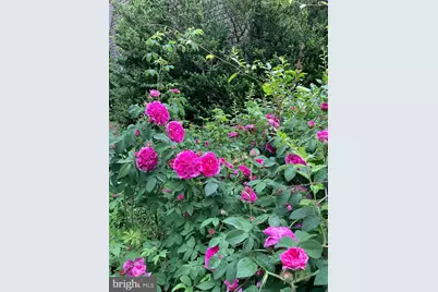 1021 Albert Rennolds Drive, Fredericksburg, VA 22401 - Photo 78