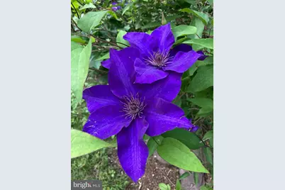 1021 Albert Rennolds Drive, Fredericksburg, VA 22401 - Photo 82