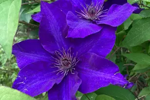 1021 Albert Rennolds Dr, Fredericksburg, VA 22401 - Photo 82