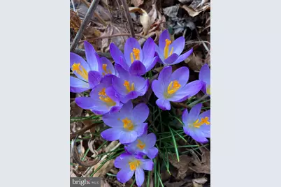 1021 Albert Rennolds Drive, Fredericksburg, VA 22401 - Photo 74