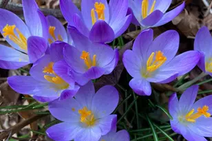 1021 Albert Rennolds Dr, Fredericksburg, VA 22401 - Photo 74