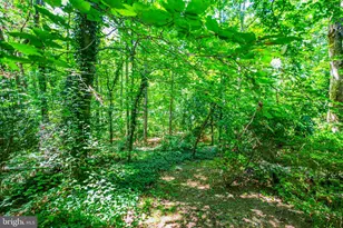 109 Goodloe Dr, Fredericksburg, VA 22401 - Photo 58