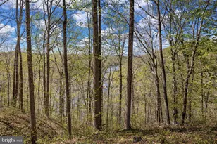 5513 River Rd, Fredericksburg, VA 22407 - Photo 50