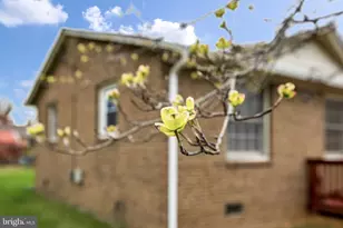 1306 Cardwell St, Fredericksburg, VA 22401 - Photo 8