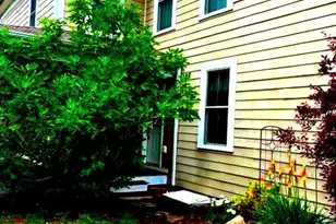 705 Charlotte St, Fredericksburg, VA 22401 - Photo 4