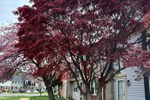 8596 Adamson St, Manassas, VA 20110 - Photo 2