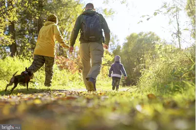 9727 Grant Avenue #HOMESITE 88, Manassas, VA 20110 - Photo 48