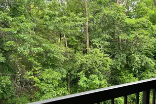 9553 Battery Heights Blvd, Manassas, VA 20110 - Photo 10