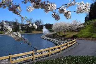 8362 Gaither St, Manassas, VA 20110 - Photo 8