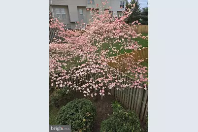 9193 Merrybell Court, Manassas, VA 20110 - Photo 4