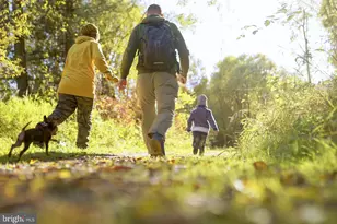 9751 Grant Ave, Manassas, VA 20110 - Photo 46