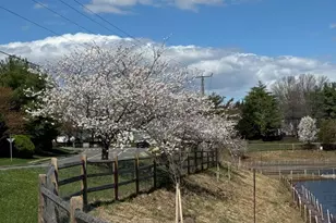 10314 Butternut Cir, Manassas, VA 20110 - Photo 4
