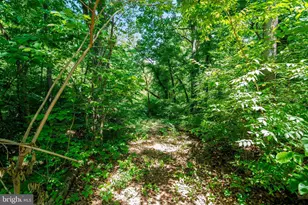 10051 Field Ct, Manassas, VA 20110 - Photo 54