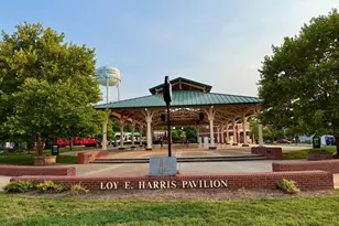 10245 Calypso Dr, Manassas, VA 20110 - Photo 40