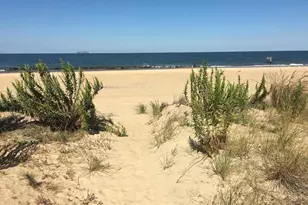 914 W Ocean View Ave, Norfolk, VA 23503 - Photo 2