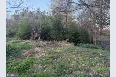 0 Hill Street, Suffolk, VA 23434 - Photo 6