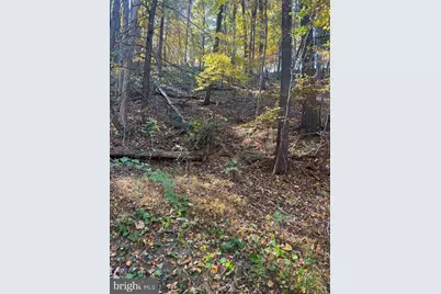 0 Pin Oak Street, Basye, VA 22810 - Photo 2