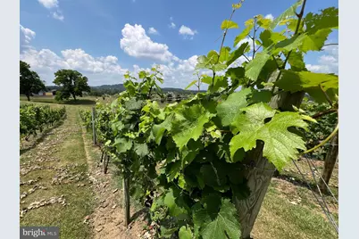 2110 Quicksburg Road, Quicksburg, VA 22847 - Photo 58