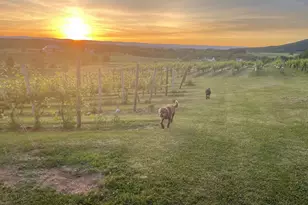 2110 Quicksburg Rd, Quicksburg, VA 22847 - Photo 1