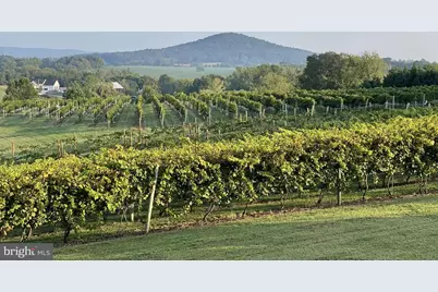 2110 Quicksburg Road, Quicksburg, VA 22847 - Photo 12