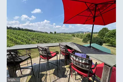 2110 Quicksburg Road, Quicksburg, VA 22847 - Photo 46