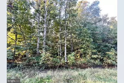 0 Short Mountain Road, Edinburg, VA 22824 - Photo 2