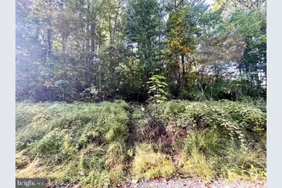 0 Short Mountain Road, Edinburg, VA 22824 - Photo 8