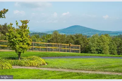 945 Neese Lane, New Market, VA 22844 - Photo 56