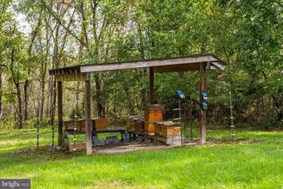 945 Neese Lane, New Market, VA 22844 - Photo 58