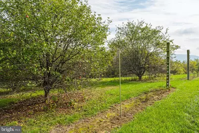 945 Neese Lane, New Market, VA 22844 - Photo 60