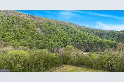 Lot 14 Black Bear Road, Maurertown, VA 22644 - Photo 4