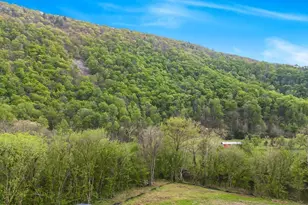 Lot 14 Black Bear Rd, Maurertown, VA 22644 - Photo 4