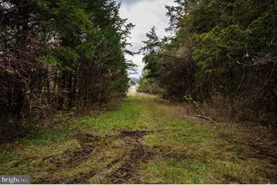 Lot 2, 3, 13 Radio Station Road, Strasburg, VA 22657 - Photo 50