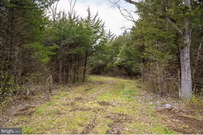 Lot 2, 3, 13 Radio Station Road, Strasburg, VA 22657 - Photo 46