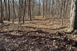 Lot 10 Independence Ln, New Market, VA 22844 - Photo 1